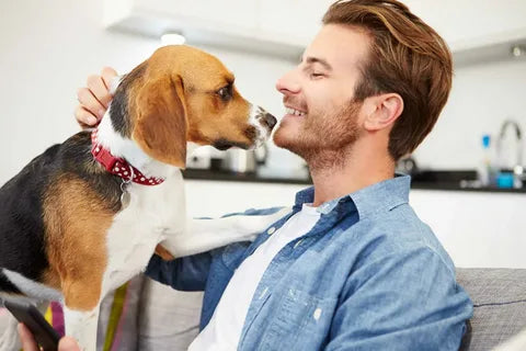 Difference between dry dog food, commonly used by most pet owners, and natural wet dog food.