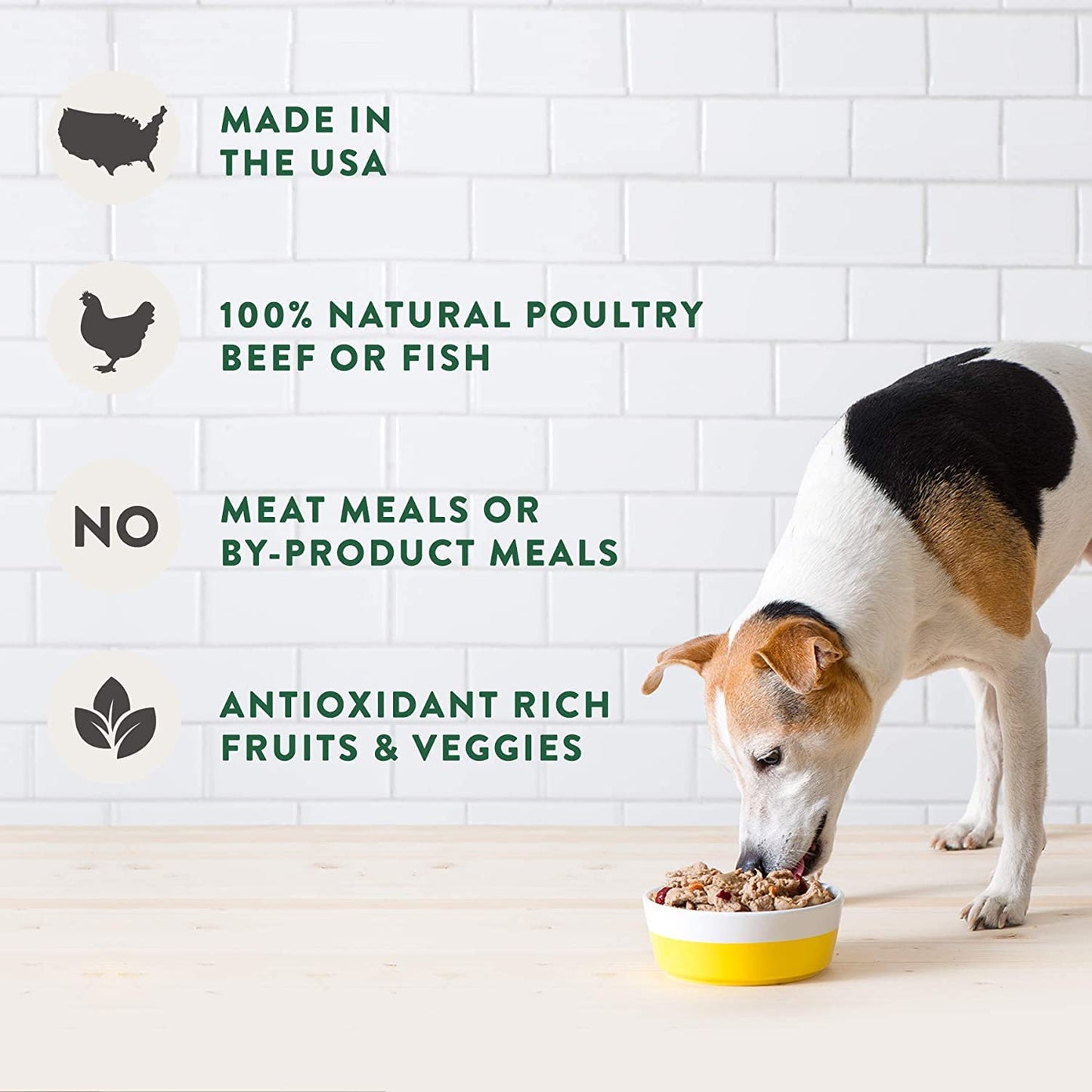Freshpet Healthy & Natural Dog Food, Fresh Chicken Recipe, 5.5lb