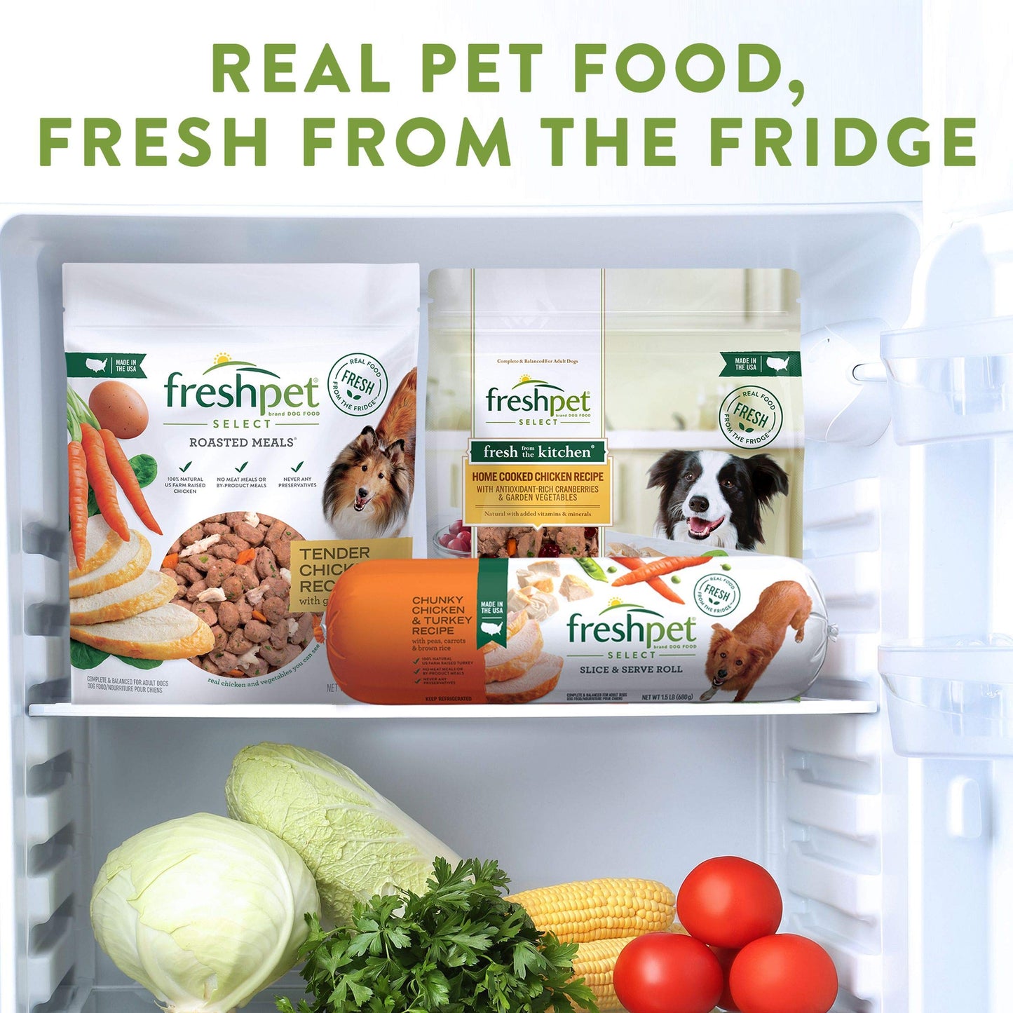 Freshpet Fresh From the Kitchen, Healthy & Natural Dog Food, Chicken Recipe, 4.5lb